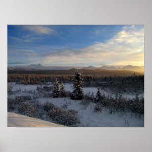 Póster Tarde de Snowy