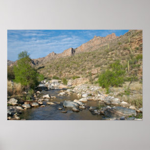 Póster Tarde del barranco de Sabino