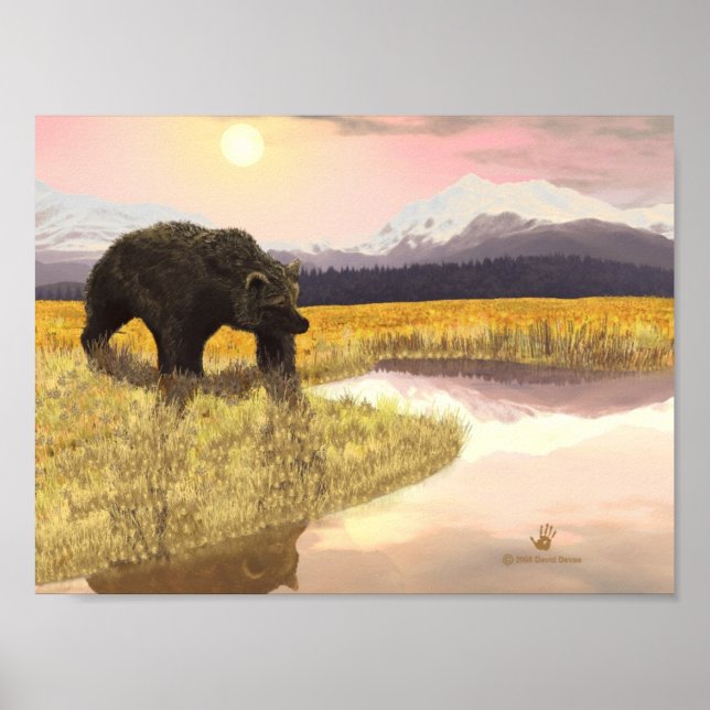 Póster Tarde del oso marrón (Frente)