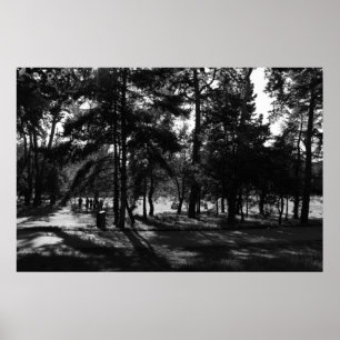 Póster Tarde en el Parque