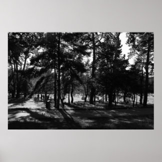 Póster Tarde en el Parque