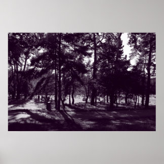 Póster Tarde en el parque (Morado en Tonos)