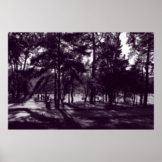 Póster Tarde en el parque (Morado en Tonos) (Frente)