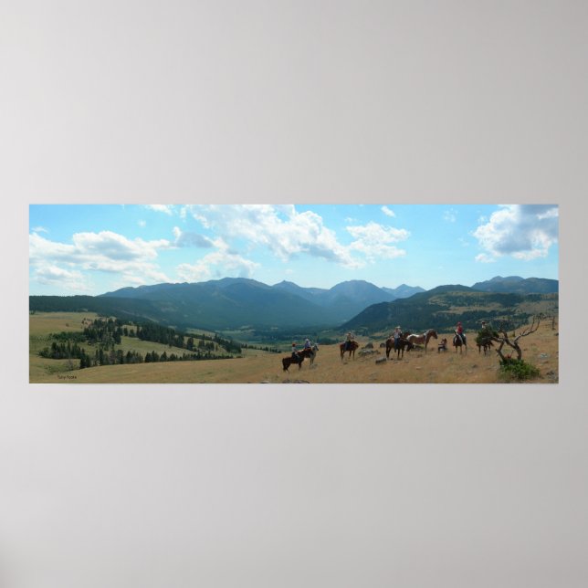 Póster Tarde en Sweegrass (Frente)