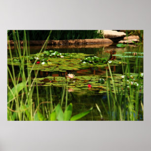 Póster Tarde Idílica