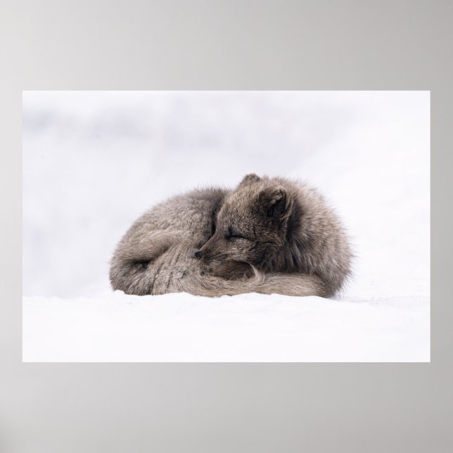 PÓSTER TARDE SIESTA (Frente)