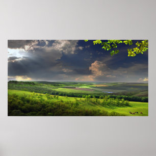 Póster Tarde tranquila