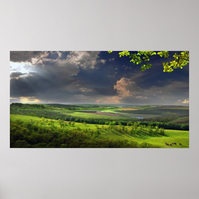 Póster Tarde tranquila (Frente)