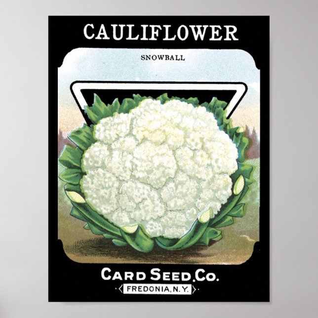 Póster Tarjeta Cauliflower Seed Co. sobre Fredonia, NY (Frente)