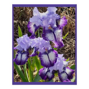 Póster Tarjeta de Día de la Madre Morple Flowers Floral I