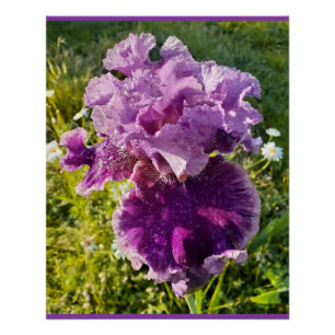 Póster Tarjeta de Día de la Madre Morple Flowers Floral I