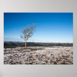 Póster Tarjeta de vacaciones Scout Scar