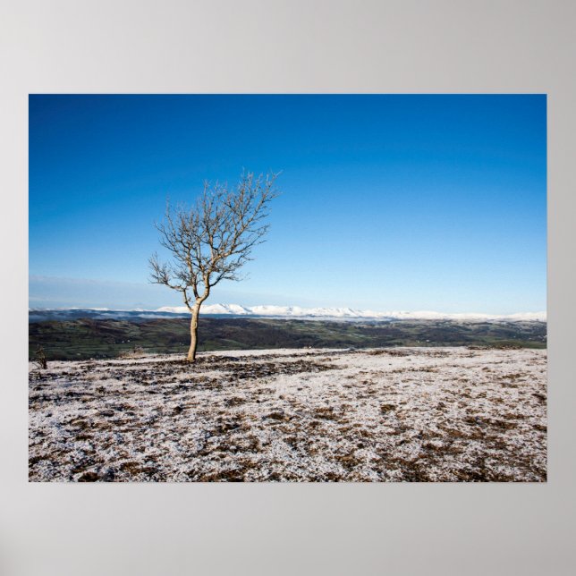 Póster Tarjeta de vacaciones Scout Scar (Frente)