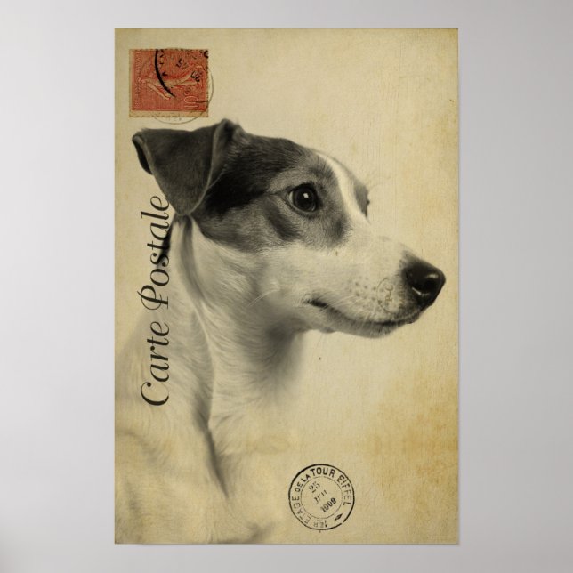 Póster Tarjeta postal Jack Russell Vintage (Frente)