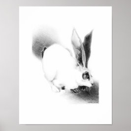 Póster Tarjeta Wild Hare