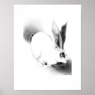Póster Tarjeta Wild Hare