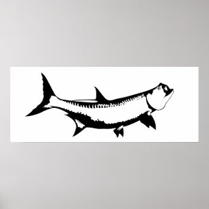 Póster Tarpon Graphic