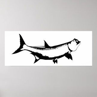 Póster Tarpon Graphic