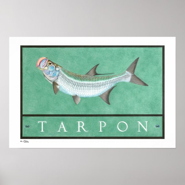 Póster Tarpon Posters, Prints and Frames (Frente)