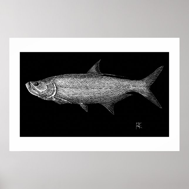 Póster Tarpon Scratch (Frente)