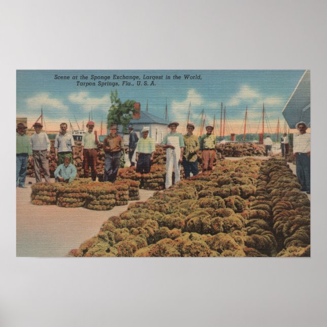 Póster Tarpon Springs, FL - Scene of Sponge Exchange (Frente)