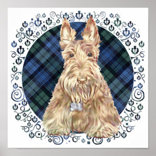 Póster Tartán Black Watch