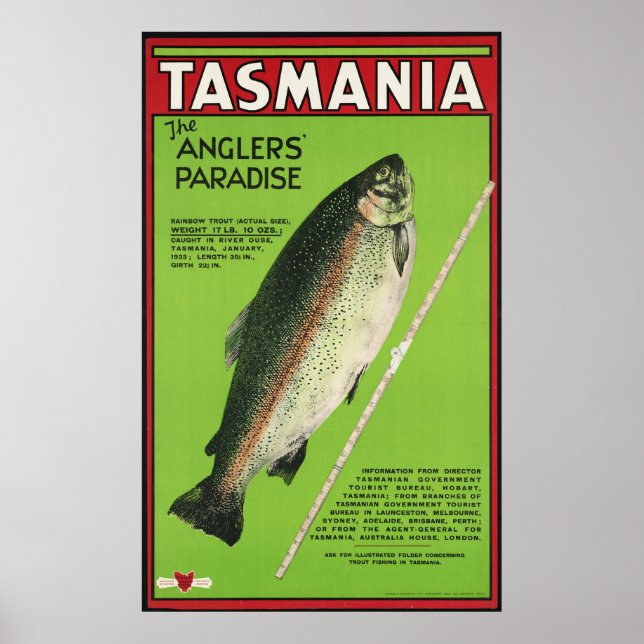 Póster Tasmania El paraíso de los pescadores (Frente)