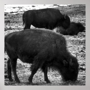 Póster Tatanka