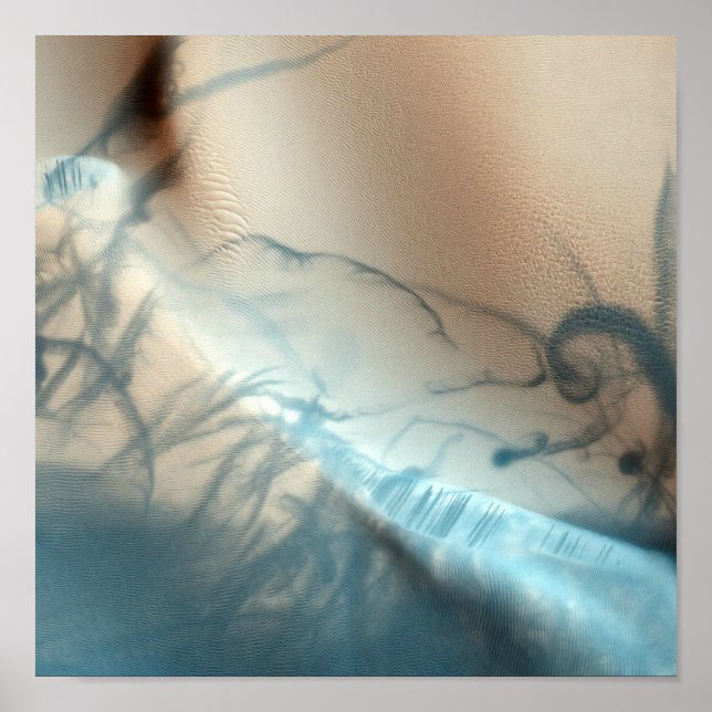 Póster Tattooed Mars Canvas Print (Frente)