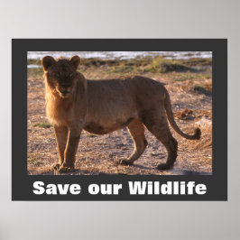 Póster Tau Save Our Willife Poster