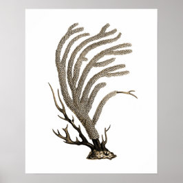 Póster Taupe Sea Coral n.º 2 Beach Wall Art