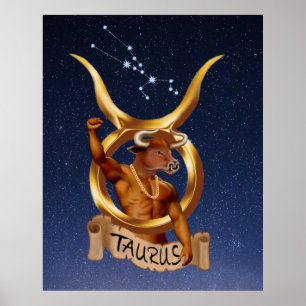 PÓSTER TAURO