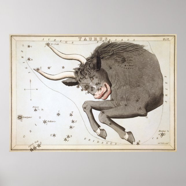 Póster Taurus Astrological Drawing (Frente)