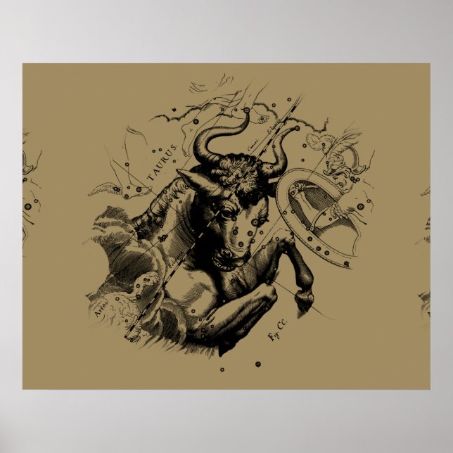 Póster Taurus Constellation Hevelius 1690 Grabado (Frente)