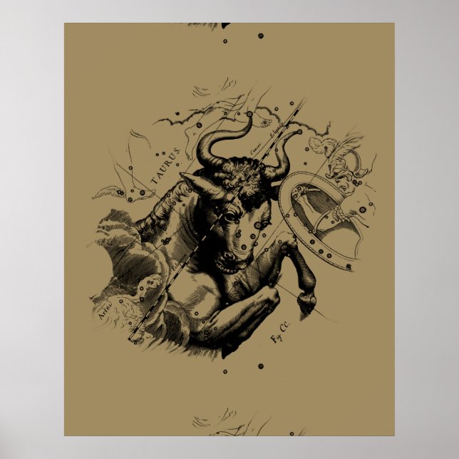 Póster Taurus Constellation Hevelius 1690 Grabado (Frente)
