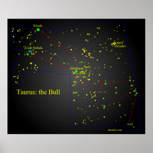 Póster Taurus the Bull constellation
