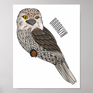Póster Tawny frogmouth bird cartoon illustration