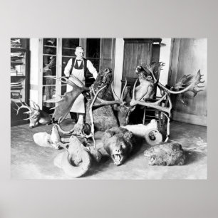 Póster Taxidermista profesional: 1923