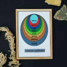 Taxonomic classification