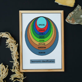 Póster Taxonomic classification