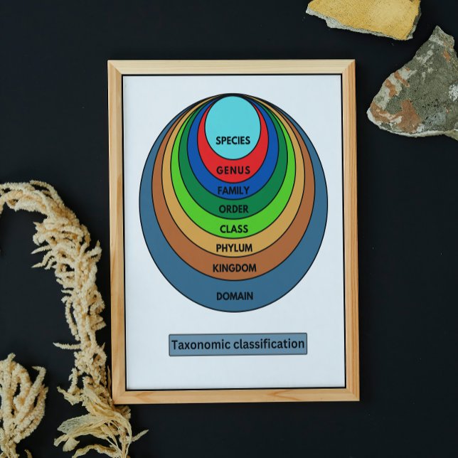 Póster Taxonomic classification (Subido por el creador)