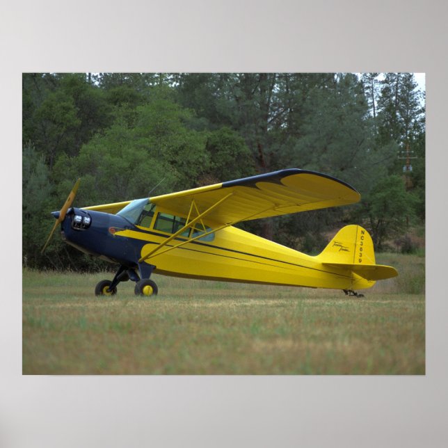 Póster Taylorcraft, DC-65, 1941_Classic Aviation (Frente)