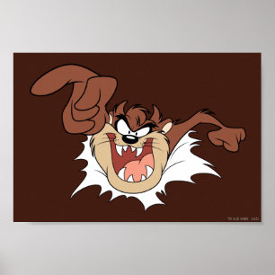 Póster TAZ ™ rompiendo la página