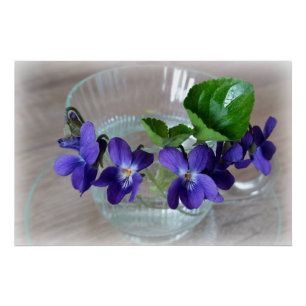 Póster taza de violeta