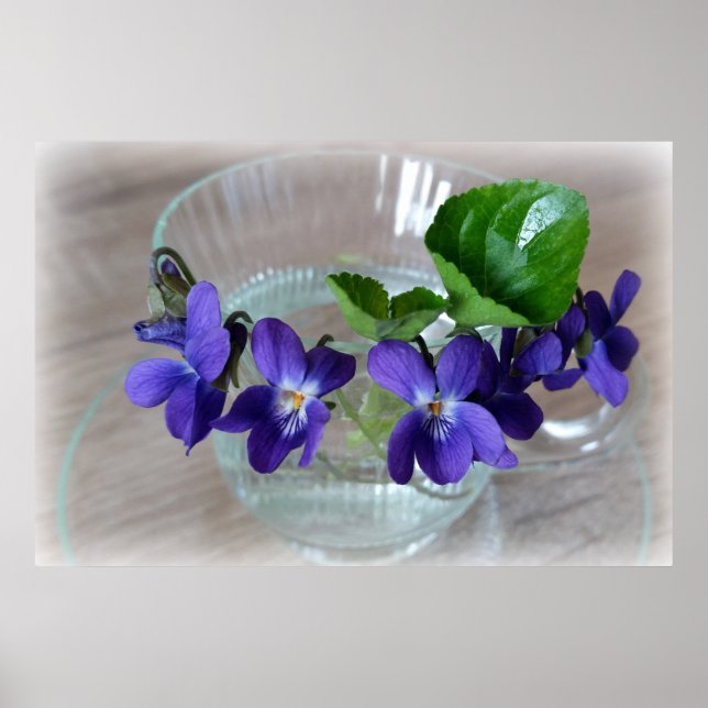 Póster taza de violeta (Frente)