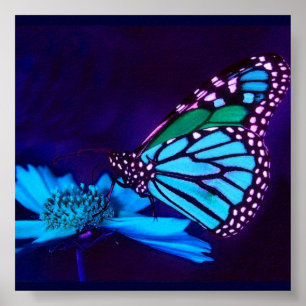 Póster - TBA - Mariposa en poster ligero azul