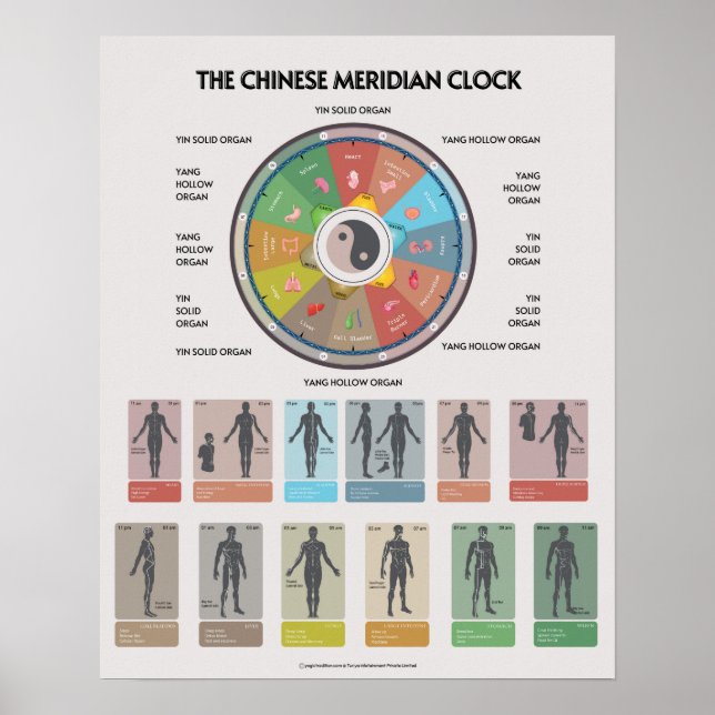 Póster TCM Meridian Organ Clock Poster, Chinese Medicine (Frente)