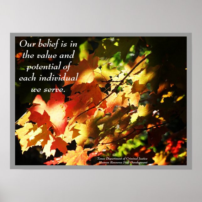Póster TDCJ HR Staff Developement Poster - Customized (Frente)