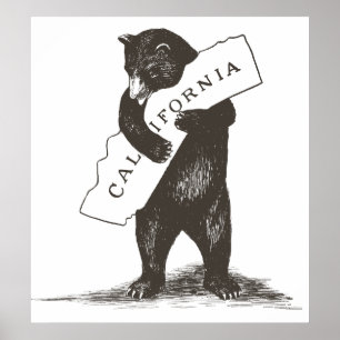 Póster Te Amo California