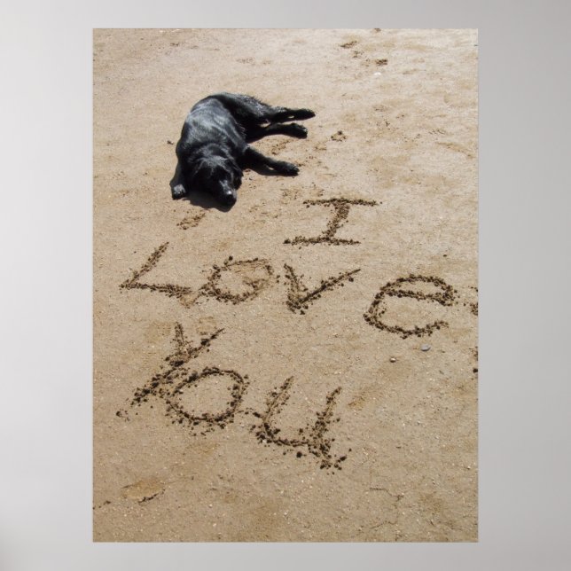 Póster Te amo la playa y el poster de perros. (Frente)